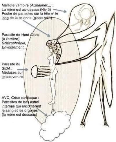 TyrReborn's tweet photo. Astral parasites like the “jellyfish” and the spider rest on chakras and siphon your life force, implanting negative thoughts and moods into the minds of the infected https://t.co/jTuMkX1FYu