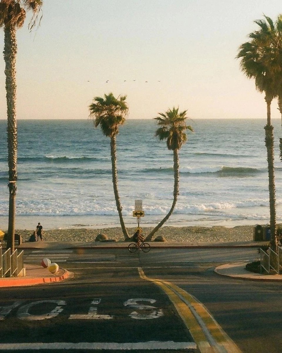 MittCPA's tweet photo. few things beat a morning at the beach https://t.co/krt1BLnAPv