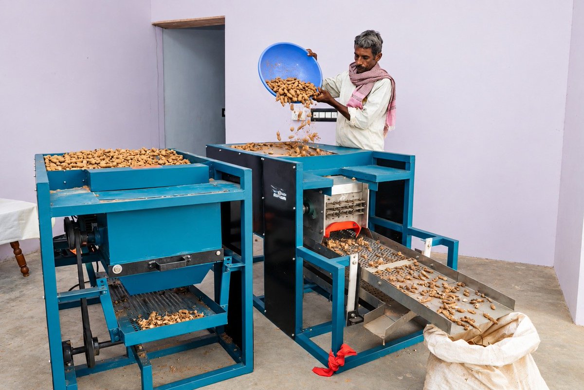 AgriGoI's tweet photo. Adding Value to Tamarind, Creating Better Opportunities! 🌿🏭

Negila Siddha Farmer Producer Co Ltd #Tumakuru, a #PMDhanDhaanyaKrishiYojana district in #Karnataka, set up tamarind processing facility equipped with 300 kg capacity deseeding machine & 2000 kg capacity deshelling machine.

🏆 FPO has also established sales outlet in Chikkaballapura (Sadhguru Sannidhi,Bengaluru) to expand market reach.
@NITIAayog

FPO Contact - Sh. Rajesh
 81476 30968

Click to order product fromFPO 
https://t.co/zMLl2vPkmL

#DDKY #Tamarind #FPO #ValueAddition #MarketLinkage