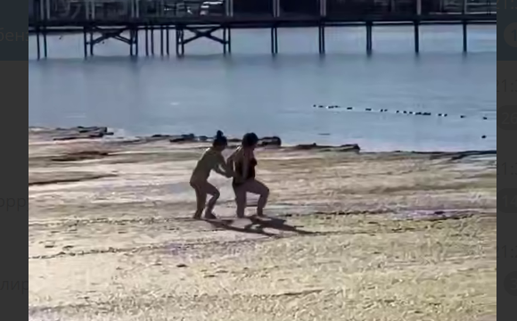 CaucasianKnotEn's tweet photo. Authorities should promptly remove rotting algae from the central beach of Anapa, commentators noted under the video recording from the central beach of #Anapa
#news #resort
More: https://t.co/a5pWlbKUyw https://t.co/cYDqahczoX
