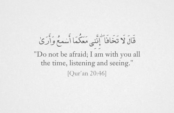 ghraialfaz's tweet photo. خوفزدہ نہ ہو، میں بلاشبہ تمہارے ساتھ ہوں، ہر بات سنتا اور دیکھتا ہوں ✨🤍
سورة طٰهٰ (20:46)

#گہرےالفاظ
#نوائےخوگر https://t.co/4XYfPjRyst