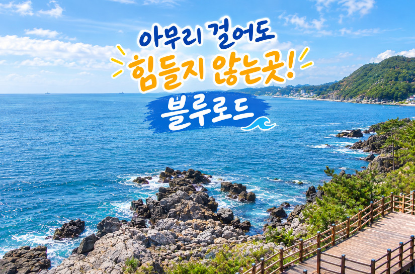 02anwlro's tweet photo. 영덕 블루로드 여행  주차장부터 창포말등대, 해안길, 축산항까지 당일 여행코스
https://t.co/N8HH3qwRmx https://t.co/vNhrvwKLjI