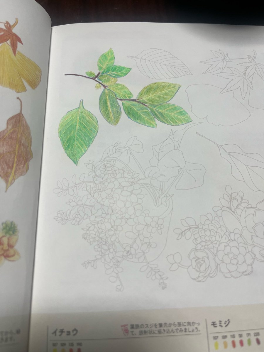 ixd_q's tweet photo. 葉っぱ塗り絵🌿
会社行く前にやるのちょうどいい。 https://t.co/HFh3Hr3GzD