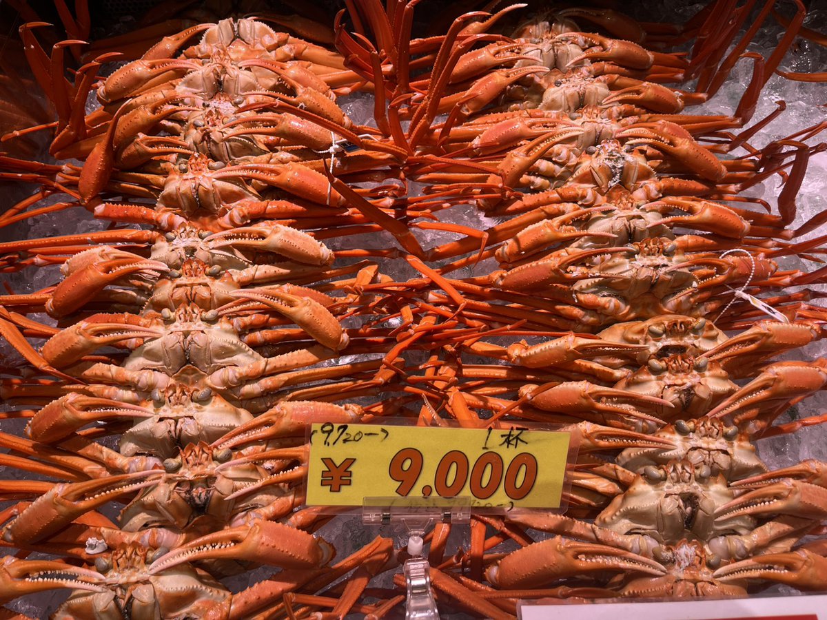 toretatekan's tweet photo. ＼🦀次の漁へ出発！在庫一掃の【激安】大放出🦀／ 
9000円が…4500円🔔💞

カニ船『えびす丸』が次の漁へ出港準備に入ります！ 
このため『紅ずわいがに』を【半額】で在庫一掃セール🔥

早い者勝ちです！
配送での注文＆お取り置きは公式LINEへ📲
https://t.co/i113yUQcud

#魚の駅生地
#紅ずわいがに https://t.co/5ytNkkYYZf