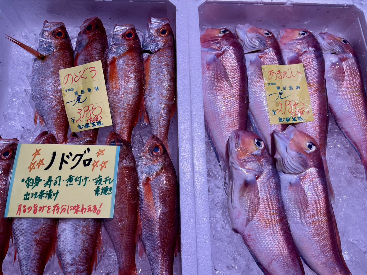 toretatekan's tweet photo. そのほかにもお魚揚がっています～🤗🙌

遊びに来てね～🐱 https://t.co/lnEpO5ns6r
