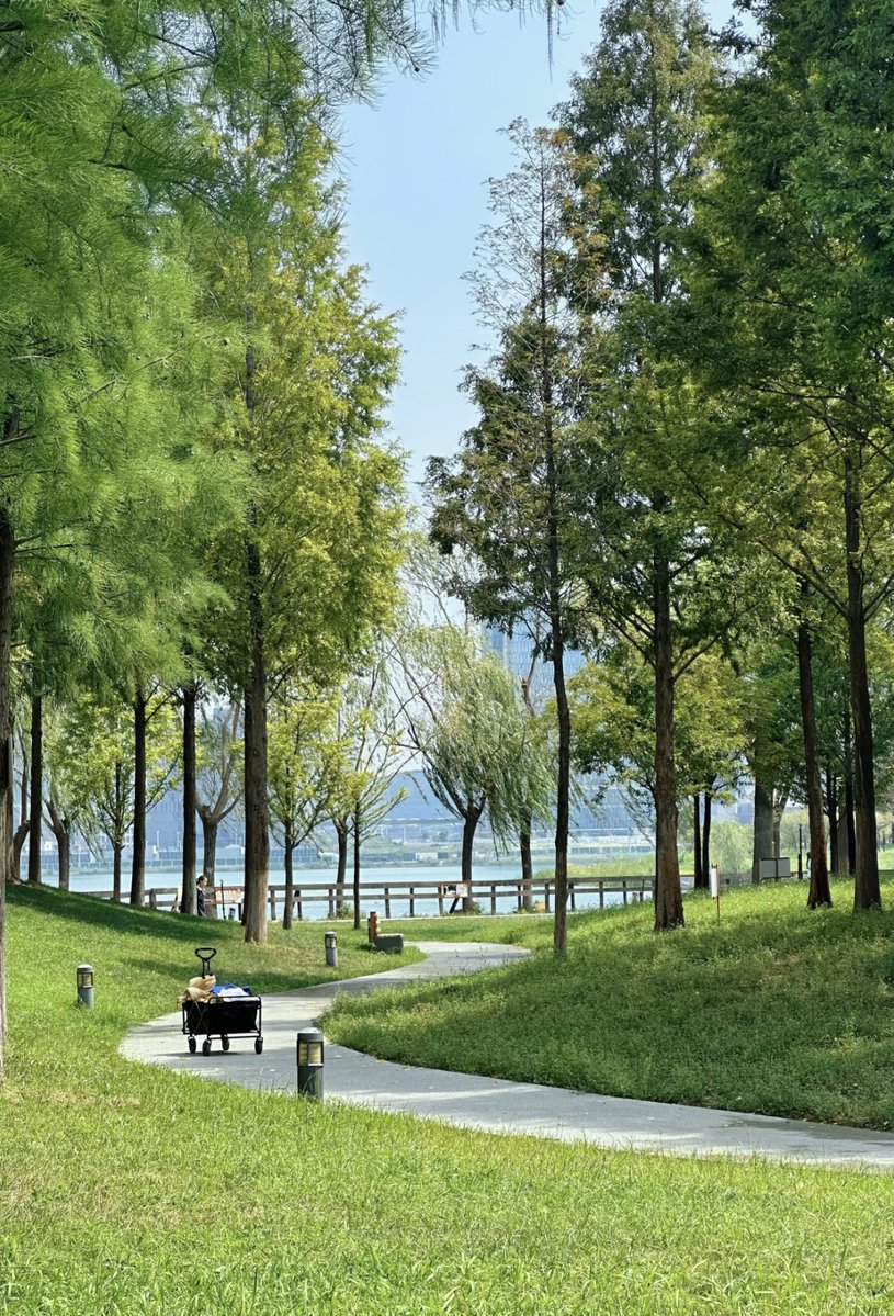 Where_Zhengzhou's tweet photo. Good morning from a peaceful riverside path. ๐ฟโ Take a slow walk and let the day unfold naturally.
#GoodMorning #Zhengzhou #MorningWalk #RiversideViews https://t.co/J8Hy81iyWJ