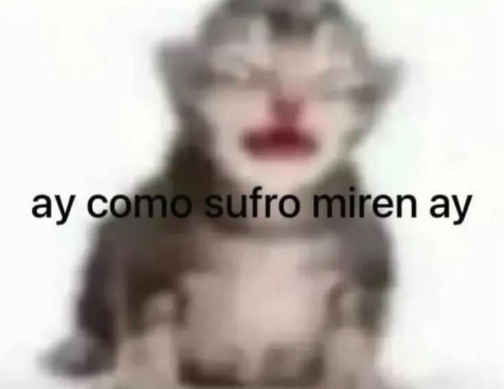 moreemmor's tweet photo. Está imagen me arruinó la vida pq cada q me pasa algo malo me acuerdo https://t.co/Ym5BOLhN3L