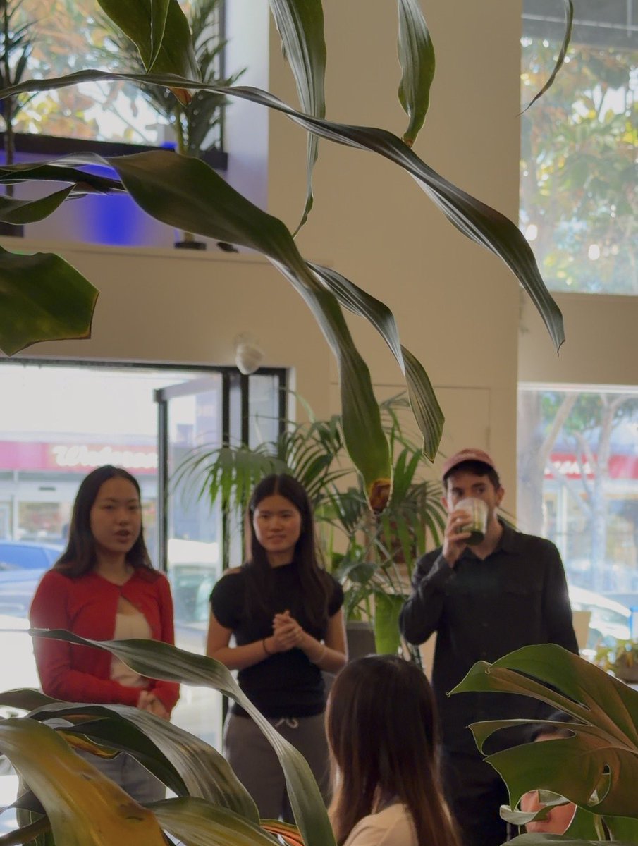 sigmagirlgrind's tweet photo. how to peak in sf: 
design x coworking x tadaima https://t.co/UMH25NwIS2