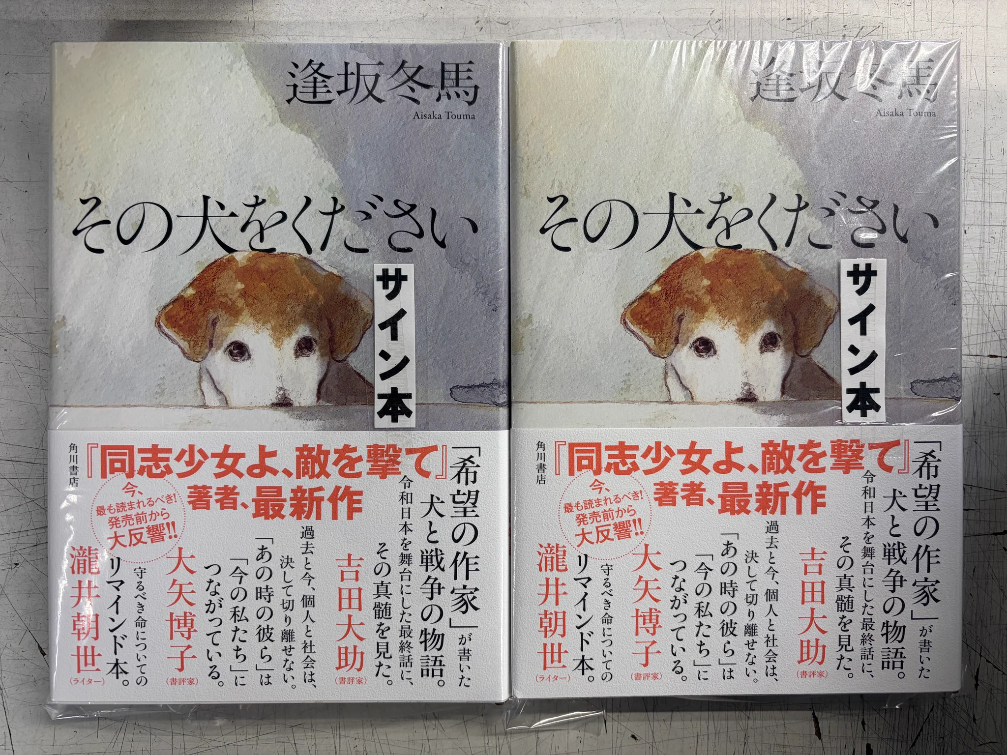 ときわ書房船橋本店1階 on X: 