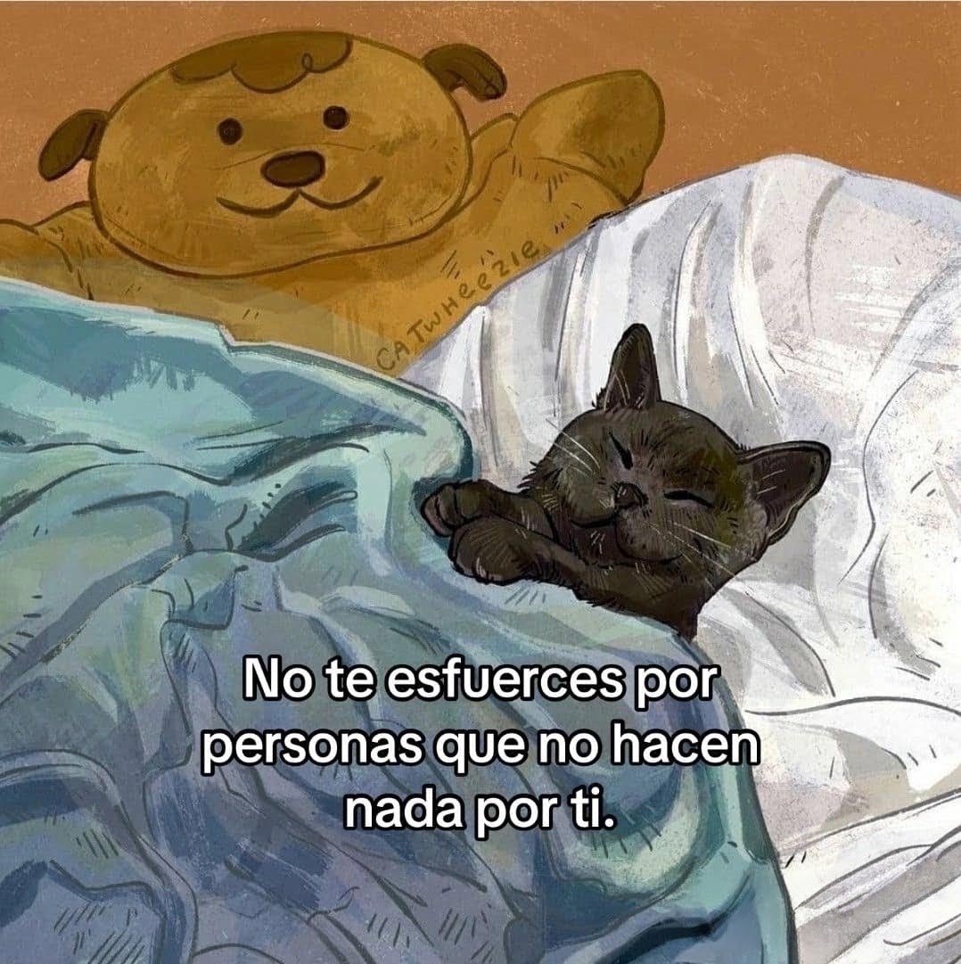 ritamaquintero's tweet photo. Nites https://t.co/lIR7o3EkSz