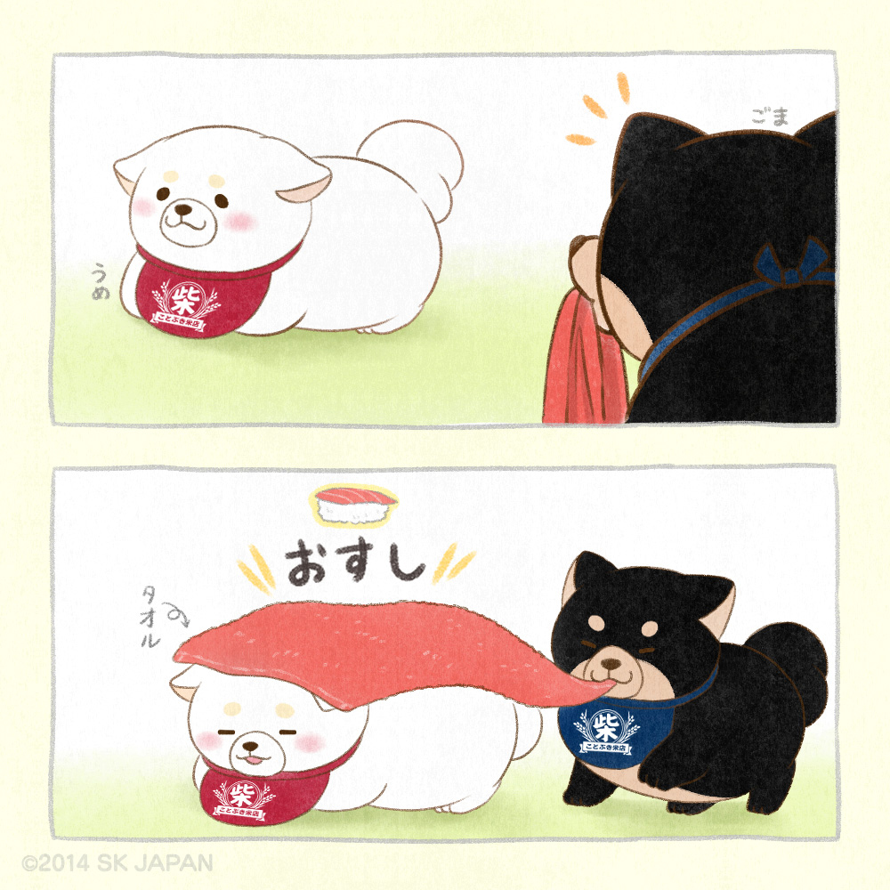 c_mochishiba's tweet photo. うめーっ 
これ かけてあげるねーっ　うふふーっ♪
(ごま🍣)

#忠犬もちしば https://t.co/pHYUMhTkXk