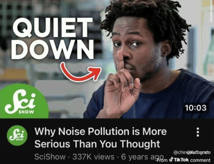 Bildirman's tweet photo. @Foundmyflame0 ACTUAL noise pollution https://t.co/a4tmdpl698