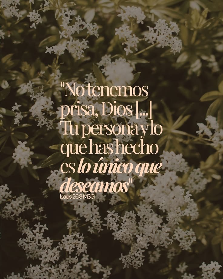 MMMGOMEZRENDON's tweet photo. BUSCA A DIOS
Iglesia MMM GOMEZ RENDON
𝗛𝗼𝗿𝗮𝗿𝗶𝗼𝘀 𝗱𝗲 𝗖𝘂𝗹𝘁𝗼:
Martes a Sábado 6.30pm
Domingo 10am
𝗦𝗜𝗚𝗔𝗡𝗢𝗦 𝗘𝗡 𝗧𝗜𝗞 𝗧𝗢𝗞
https://t.co/wvFaX5Fv6Z...
𝙎𝙄𝙂𝘼𝙉𝙊𝙎 𝙀𝙉 𝙓
https://t.co/gfcfVNEMAz https://t.co/RbzMnN6UjU