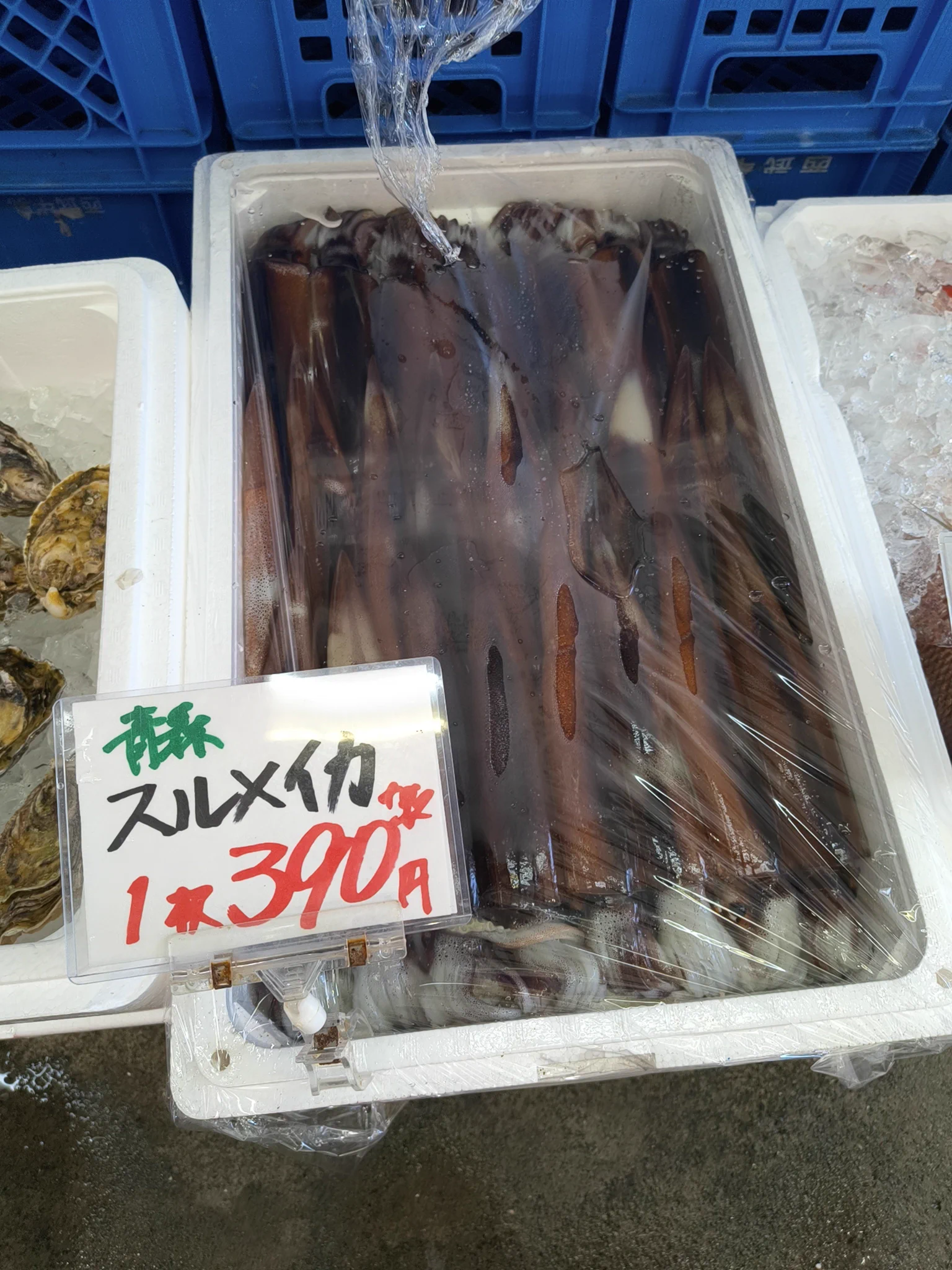 本店】武蔵境おさかな家さん南口店 on X / X