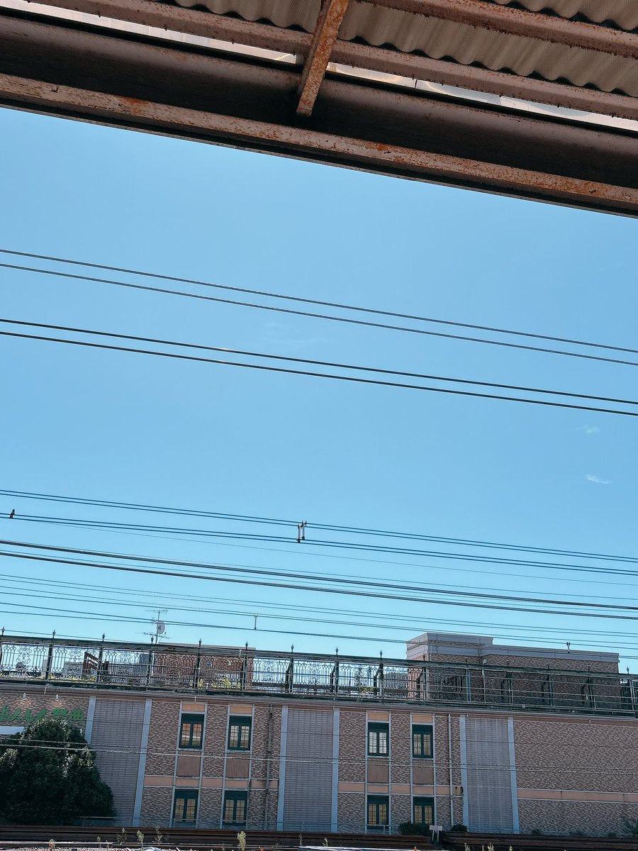3h3xM7's tweet photo. 久しぶりに青い空を見た気がする！ https://t.co/jOJLNRFwqD