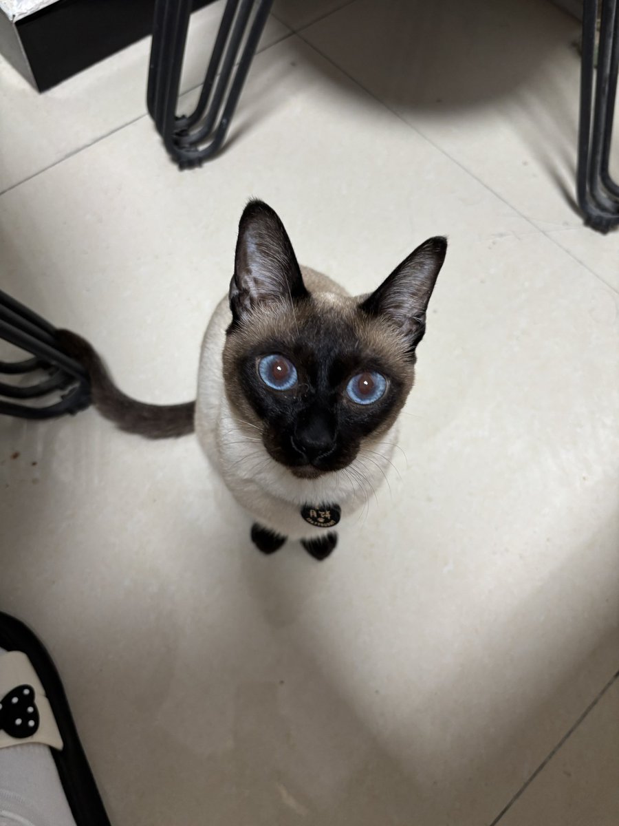 Stewie3t7i's tweet photo. @xotmlt 给 https://t.co/JXPkWoJJMH