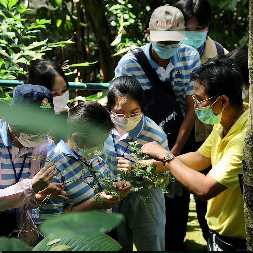 Botanic1234's tweet photo. Nature School🍃เรียนรู้ธรรมชาติ ผ่านการลงมือทำจริง
สวนพฤกษศาสตร์ฯ ชวนเด็กๆ มาเปิดประสบการณ์ “เรียน เล่น ทดลอง และค้นพบ” ด้วยกิจกรรมวิทยาศาสตร์ธรรมชาติแบบสนุก พร้อมลงมือปฏิบัติจริง 

Play and Learn เพลินเรียนรู้กับเราได้ทุกวัน

☎️ สนใจกิจกรรมติดต่อสอบถาม ได้ที่ 064-446-9930 https://t.co/S4N5zktpiV