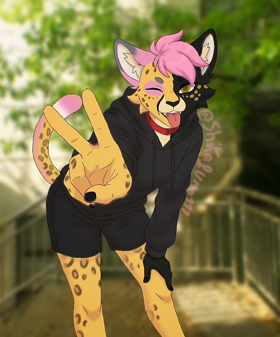 SoxiPaws's tweet photo. Gracias por el dibujo 
@Shikafumo111 💐🐆

#cheetah #furry #furryart #art https://t.co/LP1SGmb3hZ