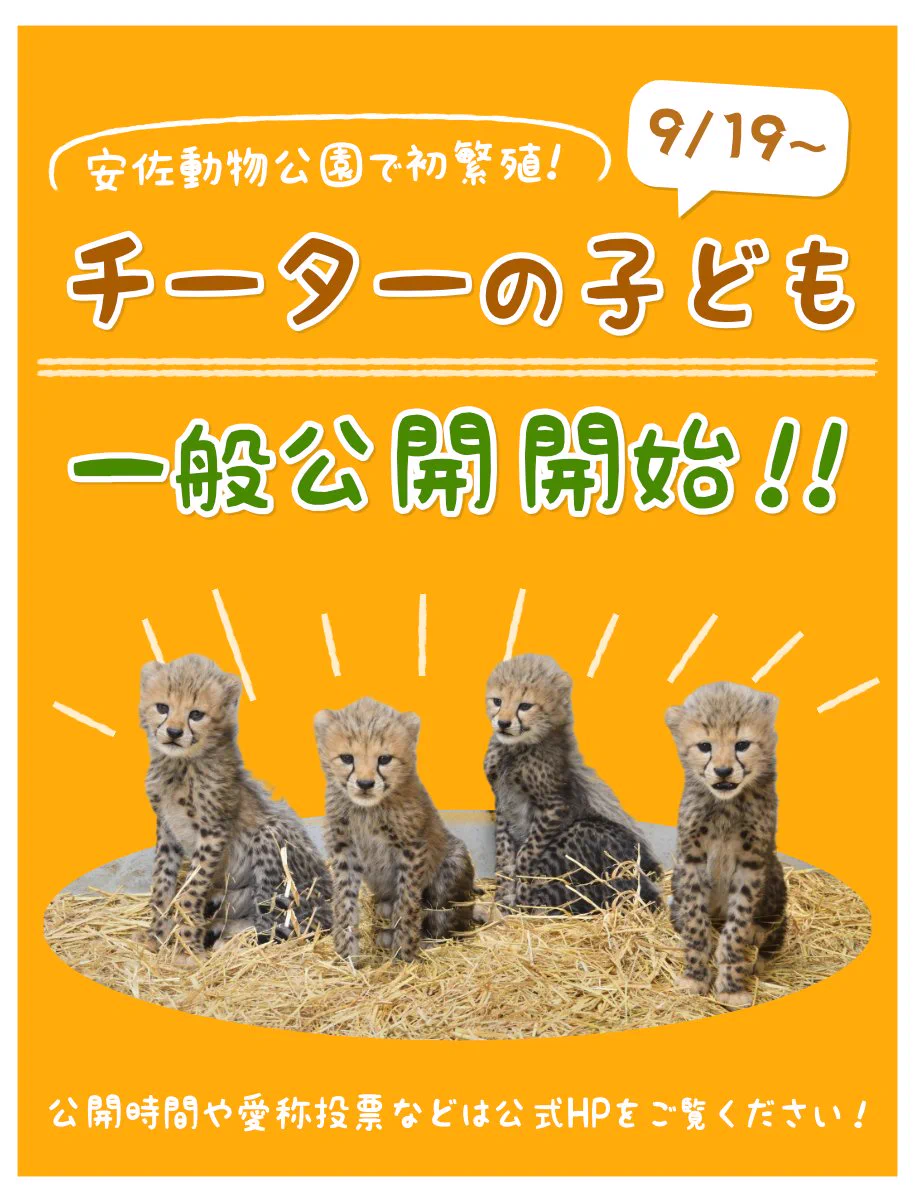 広島市安佐動物公園【公式】 on X: 