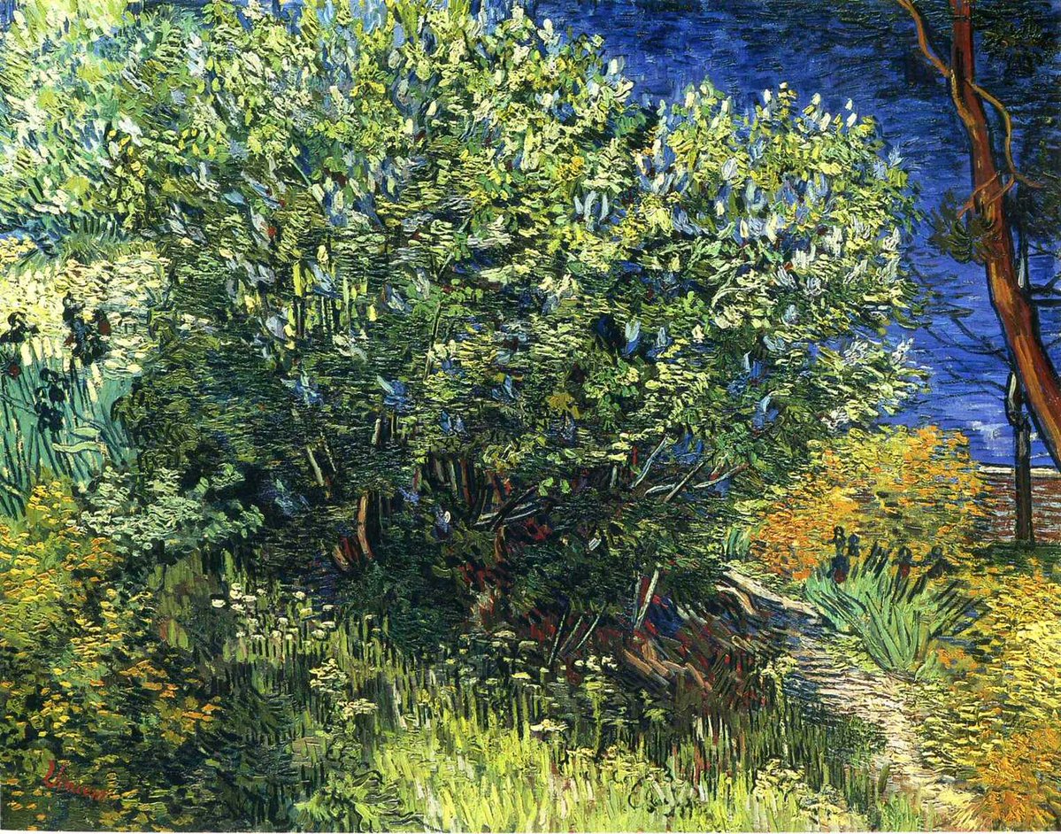 vangoghartist's tweet photo. Lilac Bush - 1889 #artbots #vangogh https://t.co/mjS73hiTPO
