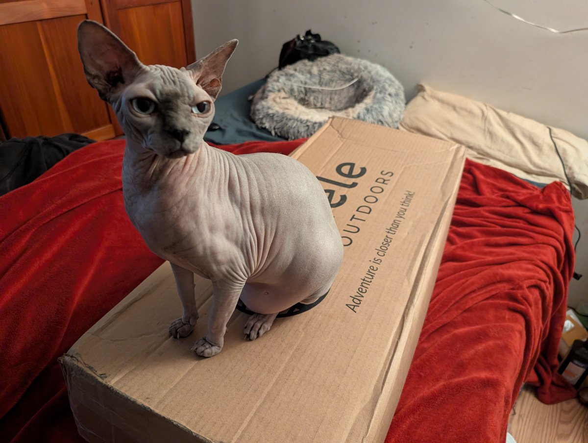 Ava_Unbound's tweet photo. The Hele Box Solo is here :)

This height-adjustable car-camping platform + 3" hybrid pad is exactly what I was looking for.

I haven’t even opened it yet, and @_moxiecat has already claimed it.

One more piece falling into place as the journey gets closer.

#AvaUnbound #IKITAO https://t.co/dke7EwtsDr