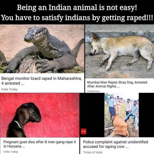 Isan_95's tweet photo. @DerGanesha Sie sollte echt froh sein. Sie hätte auch in indien sein können. https://t.co/C9uVEsAV2q