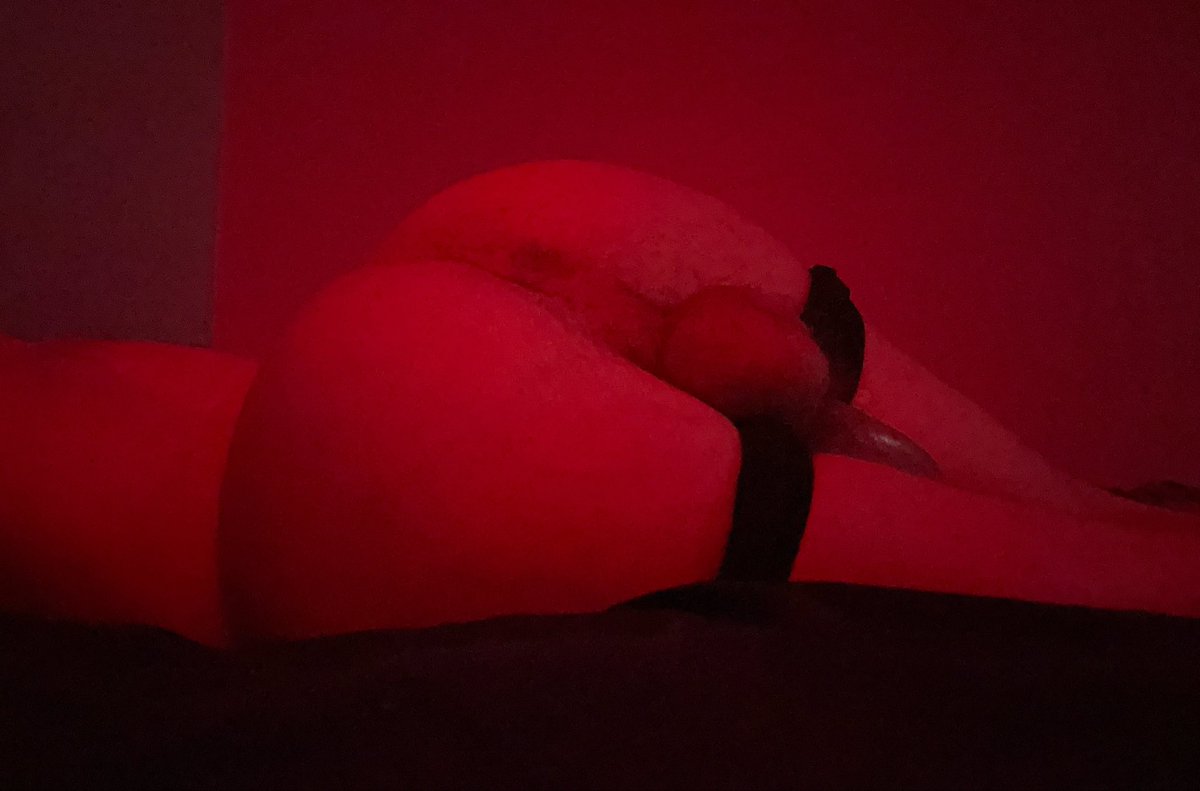 jimmywitharump's tweet photo. Lowkey needing some dick right now🫣 #femboy #nsfw #gay https://t.co/P8mQxY5MpR