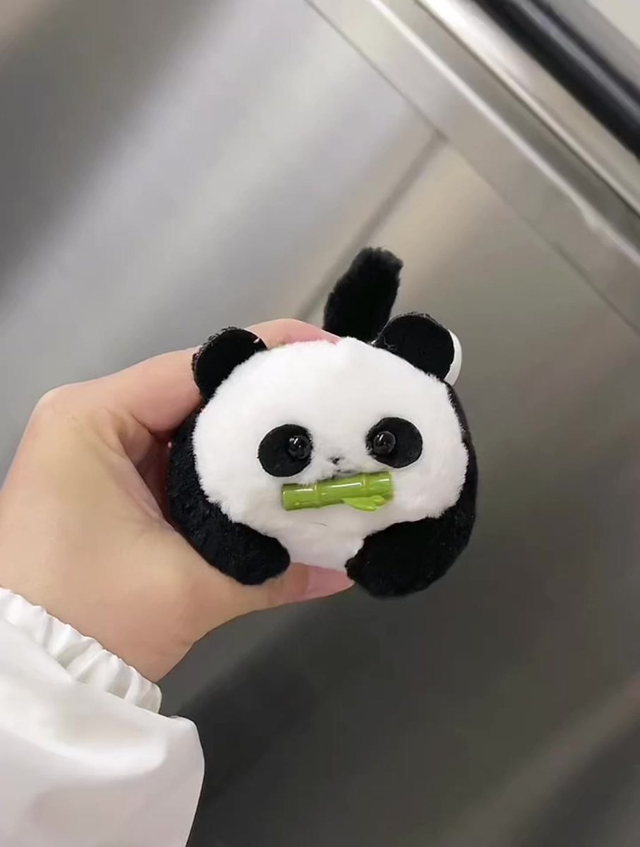 AleidaCrabsd0's tweet photo. Just finished this cute felt panda keychain ! Soft materials + 1 hour of tiny stitches = my new go-to bag charm. Love how the little bamboo detail turned out—perfect small craft win! https://t.co/OcVQdcYRKB