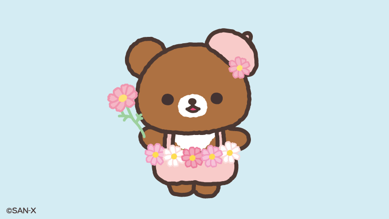 Chairoikoguma_5's tweet photo. コスモスでおめかし✨🌼

＃コスモスの日 https://t.co/1scpEtCigX