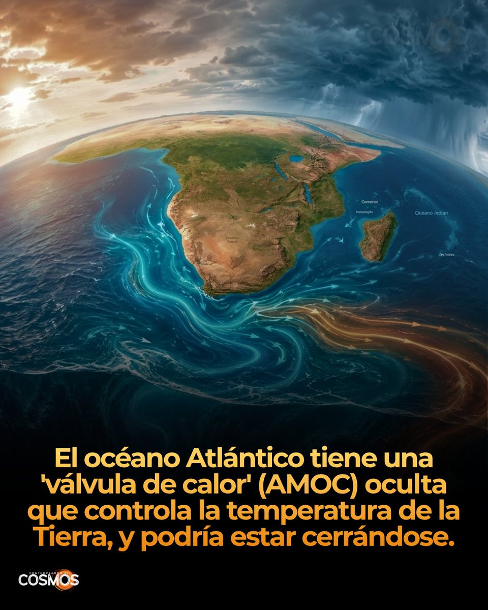 cecosmos_'s tweet photo. La AMOC (Circulación de Retorno Meridional del Atlántico) transporta agua cálida superficial hacia el norte y agua fría profunda de regreso al sur. Durante décadas, los científicos la entendieron como una "cinta transportadora": cuando se debilitaba, el calor simplemente se redistribuía del Atlántico Norte hacia el hemisferio sur, un modelo llamado "sube y baja bipolar térmico". El nuevo estudio de Buizert y colegas, publicado en *Nature Geoscience*, propone en cambio pensarla como una "válvula de calor" planetaria.

La diferencia clave: cuando la AMOC está fuerte, una intensa convección profunda en el Atlántico Norte permite que el océano libere grandes cantidades de calor hacia la atmósfera, y desde ahí el planeta pierde energía hacia el espacio. Cuando la AMOC se debilita, esa convección se detiene, el Atlántico Norte deja de expulsar calor al ritmo necesario, y el calor se acumula en el interior del océano global. El resultado no es una simple redistribución entre hemisferios, sino una ganancia neta de energía para el planeta entero. Los investigadores llegaron a esta conclusión sintetizando simulaciones de tres modelos climáticos distintos capaces de reproducir los abruptos eventos Dansgaard-Oeschger del Pleistoceno.

La implicación para el presente es que un debilitamiento futuro de la AMOC, atribuido al cambio climático de origen humano, podría amplificar el calentamiento ya causado por los gases de efecto invernadero, en vez de simplemente desplazarlo geográficamente. Conviene matizar que se trata de una síntesis basada en modelos y en registros paleoclimáticos, no en la observación de un colapso actual, y los propios autores señalan que un colapso irreversible podría ser menos probable de lo que sugerían pronósticos anteriores.

📄📌Referencia:
Buizert, C., Abe-Ouchi, A., Vettoretti, G., Zhang, X., Kuniyoshi, Y., Shackleton, S., Rasmussen, S. O., Pedro, J. B., Galbraith, E. D., & Stocker, T. F. (2026). Planetary energy budget during abrupt glacial climate events set by Atlantic Ocean heat valve. Nature Geoscience.