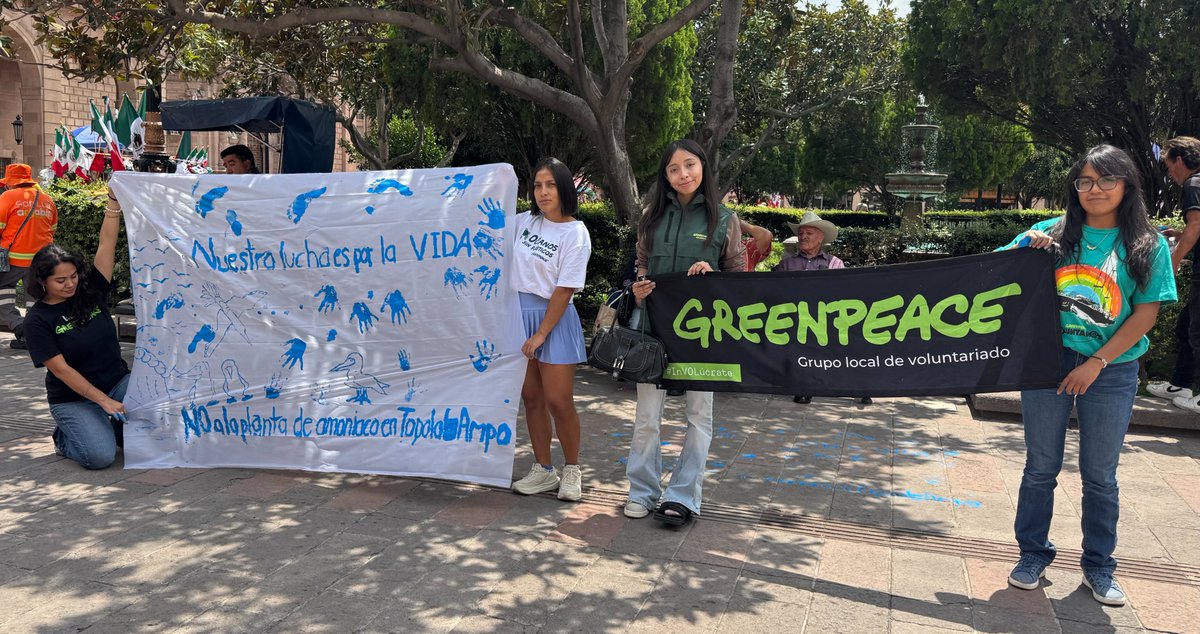 greenpeacemx's tweet photo. Desde distintos estados de México decimos ¡Aquí No! 🚫

💚 Voluntades de Greenpeace en apoyo por la defensa de Topolobampo.⚠️

🙌🏼 Suma tu voz por las comunidades y la biodiversidad de la Bahía de Ohuira.

🔗 Actúa hoy y firma la petición: https://t.co/FA0xV2XBUo https://t.co/6Pn6P8frbg