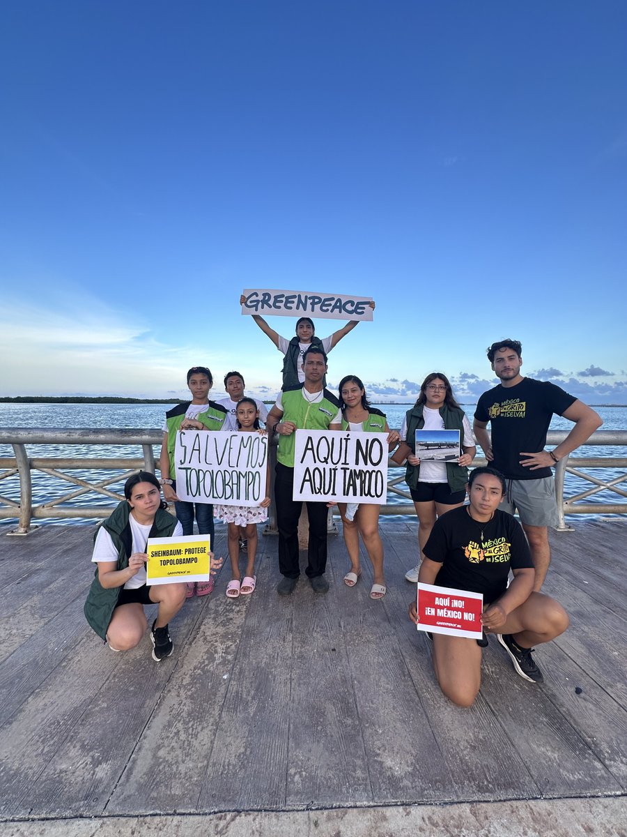 greenpeacemx's tweet photo. Desde distintos estados de México decimos ¡Aquí No! 🚫

💚 Voluntades de Greenpeace en apoyo por la defensa de Topolobampo.⚠️

🙌🏼 Suma tu voz por las comunidades y la biodiversidad de la Bahía de Ohuira.

🔗 Actúa hoy y firma la petición: https://t.co/FA0xV2XBUo https://t.co/6Pn6P8frbg