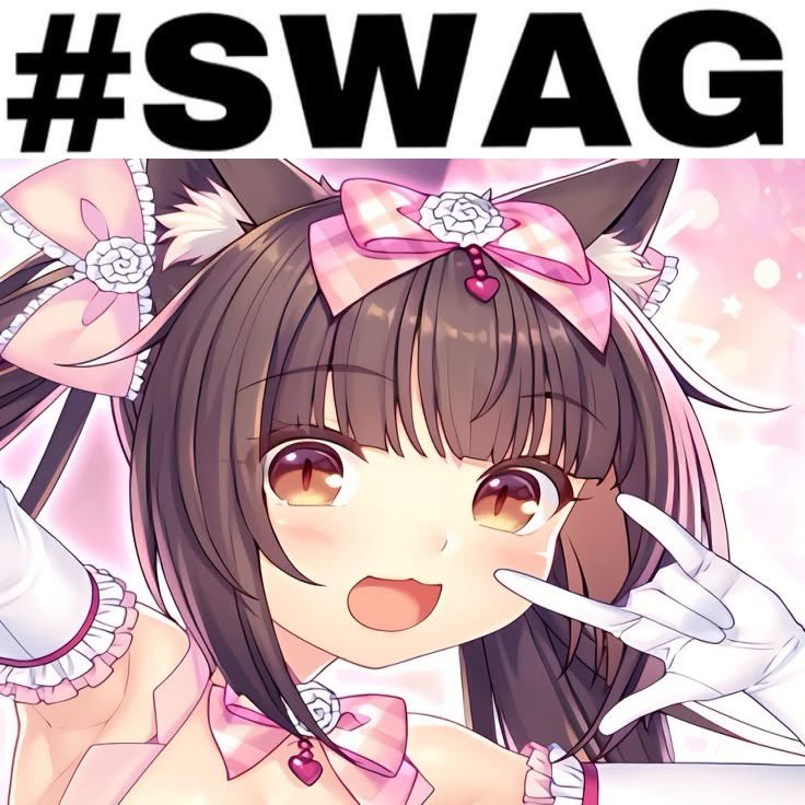 mercyskitti's tweet photo. https://t.co/jlLjP1kU0R