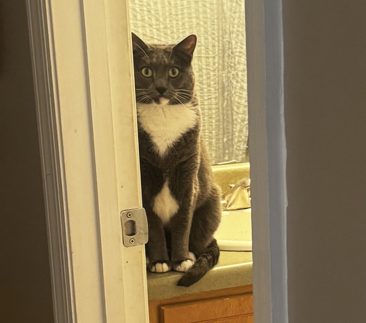 fablerot2's tweet photo. My non-white 7 month old baby who caught a live mouse and ate its entrails https://t.co/ii1rfCBKgT