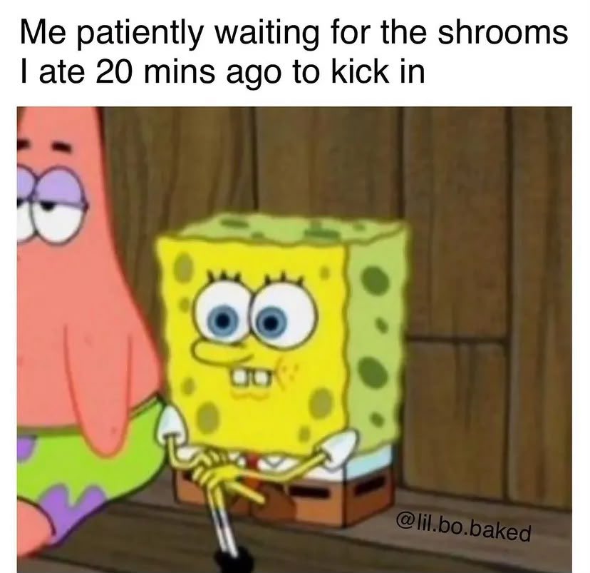 GenesisFirearm's tweet photo. #Drugtwt #psychedelictwt #shrooms #memes #DrugEducation https://t.co/oJxp3BXDk8