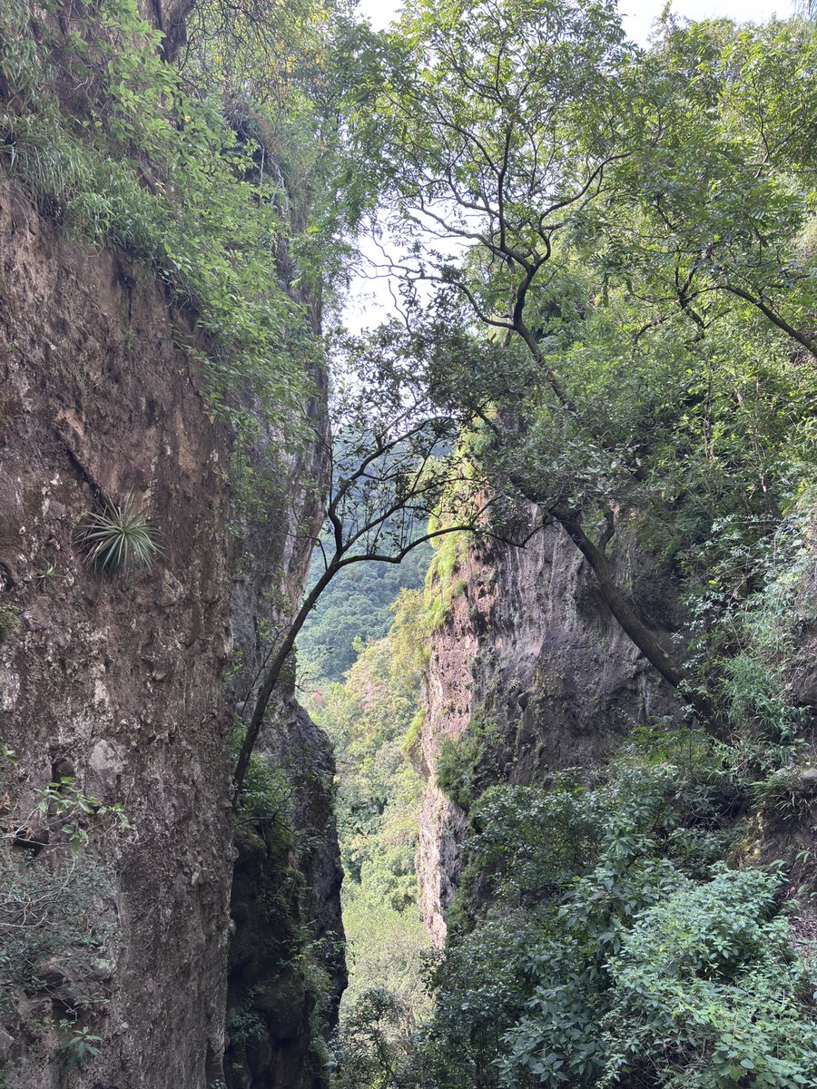Azocar87's tweet photo. Tepoztlán Morelos https://t.co/ss4AIBI7g4