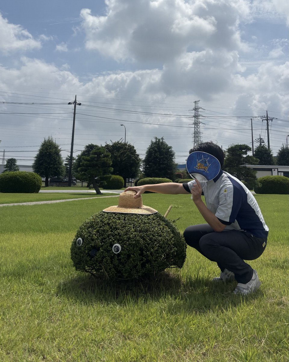 nicobo_official's tweet photo. ざんしょっていうらしい。
 
なつはまだ、もうすこしだけ がんばるみたい☀️

#ニコボの木 #パナソニック宇都宮工場 https://t.co/ucxixDBI86