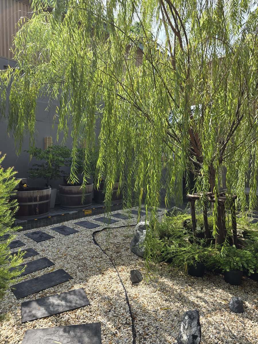 CutiesVivi's tweet photo. ณ Onsen ♨️♨️ แห่งนึง ในบางแสน 
ที่นี่เปิดให้แช่รวมชาย-หญิง เฉพาะวันเสาร์ และวันอาทิตย์ ช่วงเวลา 08.00 - 12.00 เท่านั้น ค่าเสียหายคนละ 350 บาท 
เราลองมา 8 โมงเช้า ไม่มีลูกค้าเลย ดีงาม 
เหมือนจ่าย 700 แล้วได้เหมาทั้ง ออนเซ็น 
ถ้ามา 2 คู่ หรือ 3 คู่ น่าจะฟินนนนน 
#คู่แท้ #คู่ชลบุรี https://t.co/vM702OJ2d1