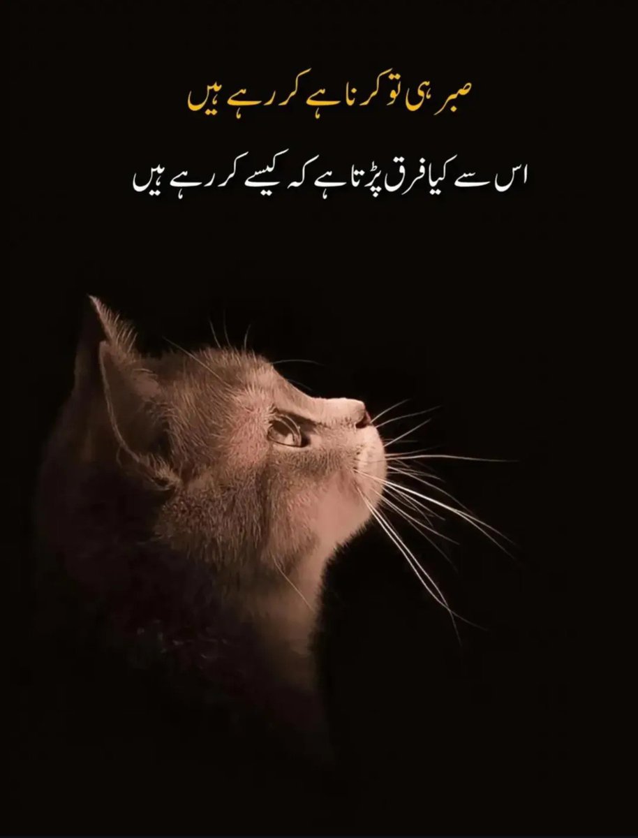 Aneeb_Writes's tweet photo. #UrduQuotes #UrduShayari #DeepQuotes #UrduPoetry #LifeQuotes #UrduStatus #MotivationalQuotes #RealityQuotes #ThoughtOfTheDay #QuoteOfTheDay https://t.co/cTQdq952tR
