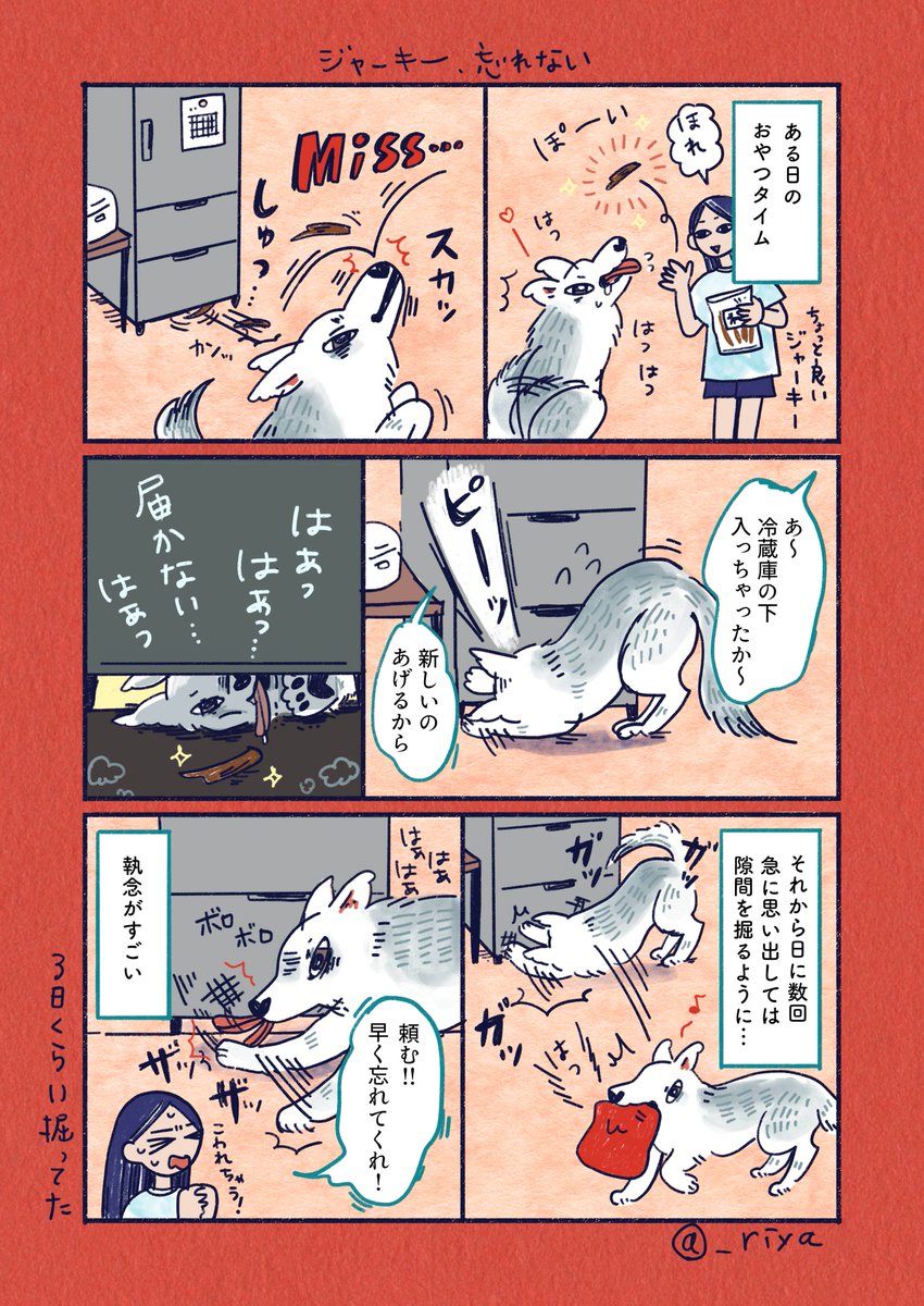 _riya's tweet photo. おおかみいぬのサン🐺
「ジャーキー、忘れない」

次の引越しがあるまでジャーキー取れない https://t.co/TQ65PSbxOb