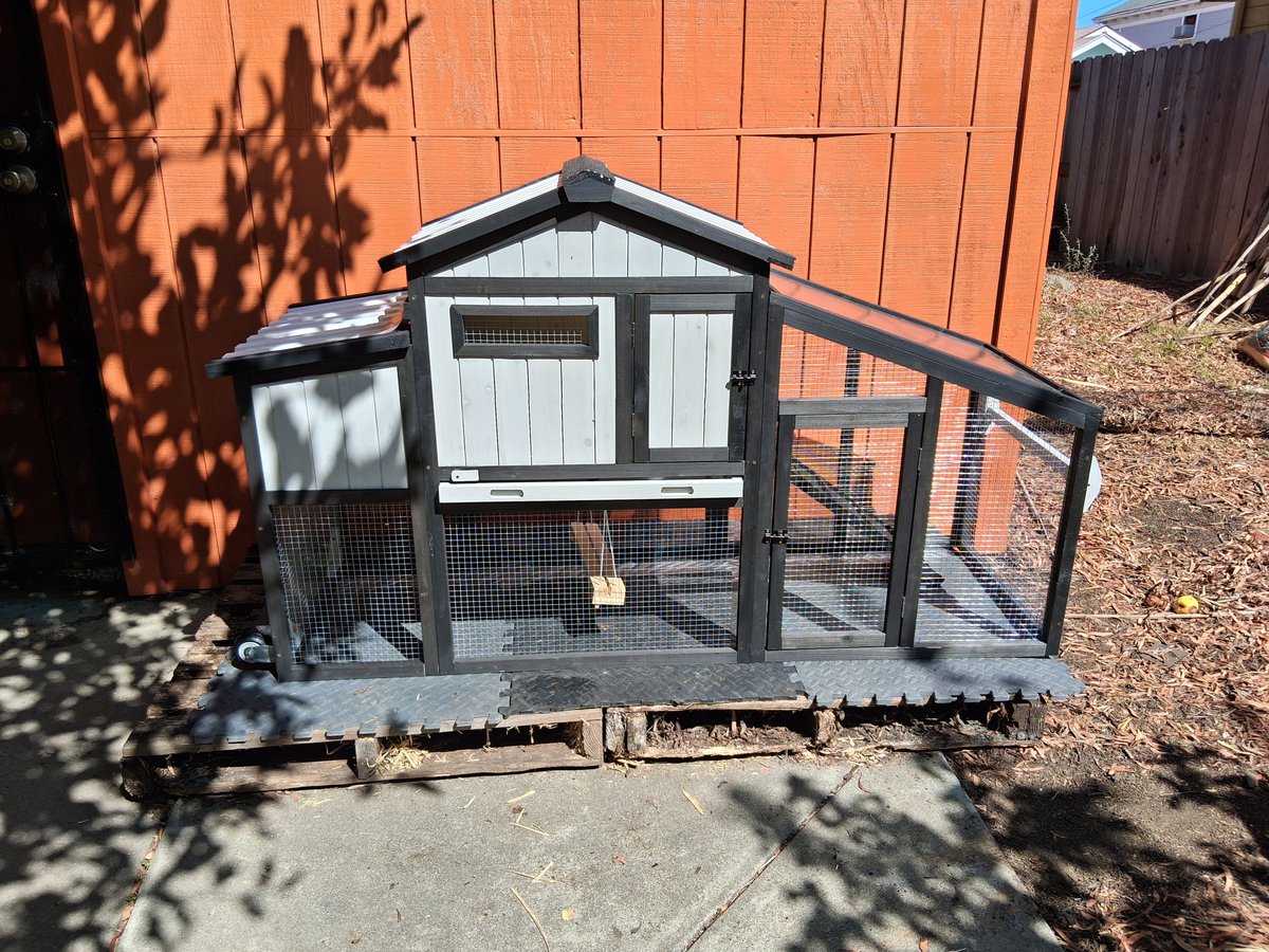 Max585449895175's tweet photo. Built a chicken coop https://t.co/0IFedKKaDK