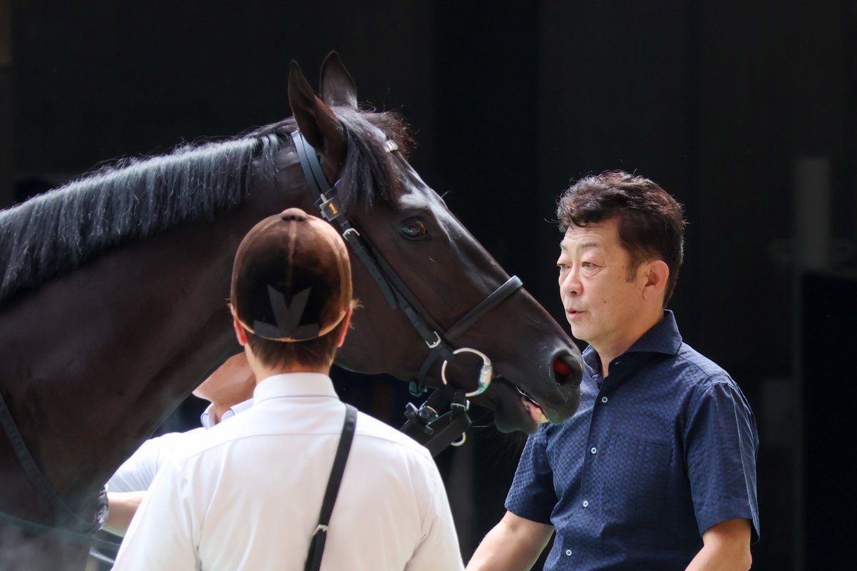 __tpuma's tweet photo. 2026.09.05
8R 3歳以上1勝クラス
📍阪神競馬場

キッコベッロ
友道康夫厩舎 https://t.co/FsDCLh58bJ