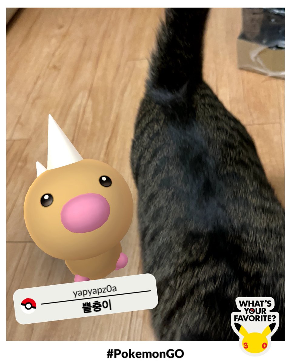 kimjyo0228's tweet photo. Pokémon GO를 사용해서 좋아하는 포켓몬과 함께 사진을 찍자! https://t.co/EcEGtkO8H2 #포켓몬과찰칵이벤트 #SK텔레콤 https://t.co/GSeqt0HoDW