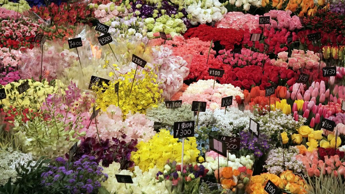 event_checker's tweet photo. 都内6か所の青果市場で
「市場まつり2026」開催🥕 

野菜・果物・花を
お得に買える即売コーナーに加え、

模擬セリ、福引、ゲーム
各地の特産品販売なども！

年に一度の市場開放
入場無料で楽しめます✨ 

📅 10/17(土)-11/8(日)
📍 世田谷・葛西・北足立・板橋・淀橋・豊島市場

→ https://t.co/luQ6xQdGFL