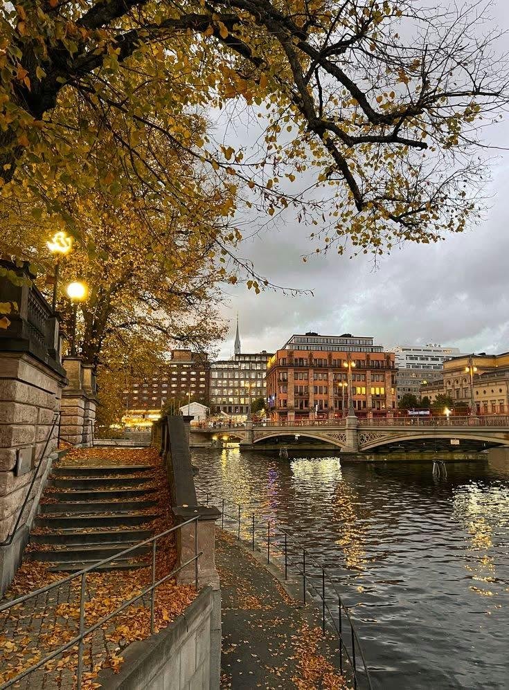 earthserenityy's tweet photo. Autumn in Sweden https://t.co/1jg0L8bZWK