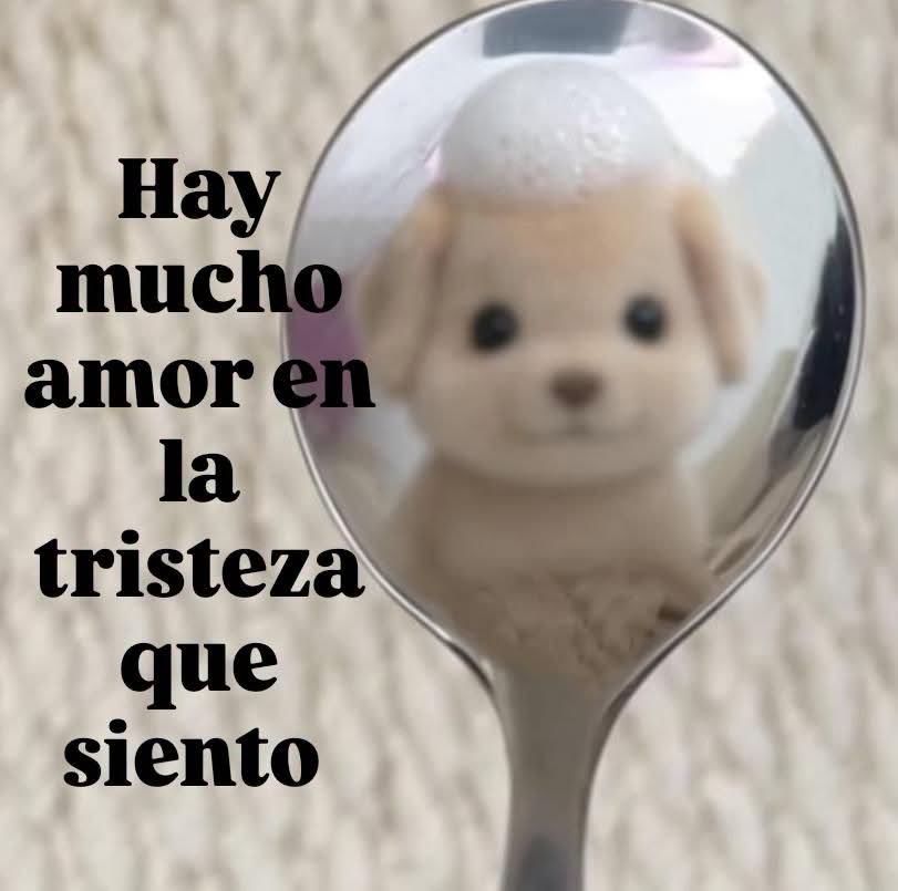 chingadacola's tweet photo. https://t.co/nxpfaQEBY1