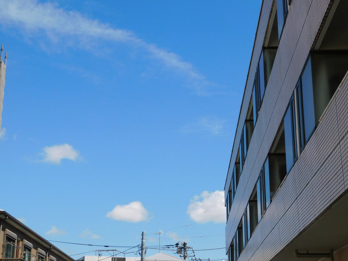 pr_eec's tweet photo. こんにちは😀        

本日の天気は、久しぶりの快晴です☀️
今回は、水を飲んでいる鴨の写真を投稿します🐦
本日はかなり暑いので、細目に水分補給をお願いします🥤
明日からは雨の日が続くようです☔️

本日も、よろしくお願いします 😁
#川崎市中原区 
#企業公式相互フォロー https://t.co/U3aNgrUocu