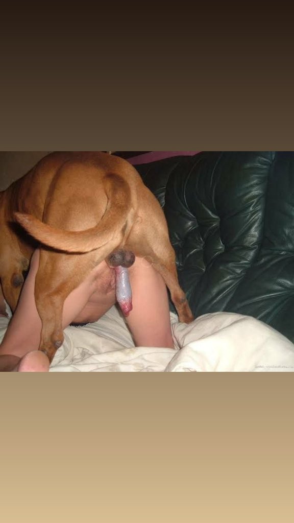 Peace6yui's tweet photo. Lonely ๐คคThou my pup is here to keep company ๐ค. DM For Price Menu ๐ ๐
https://t.co/MhjqXy7gOP
#Australia #perth #brisbane #melbourne #Sydney #Usa #artofzoo #brattypup #zoophile #k9girl #zoolove #puppyplay #stateparks #scenicdrives #arches #KodachromeBasin #Utah #scenery https://t.co/FRIzZT0KY5
