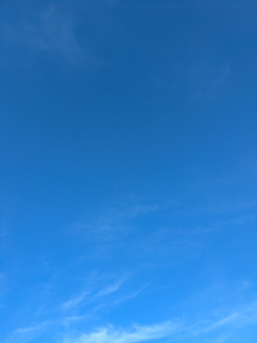 japan_cow's tweet photo. 9月14日(月)☀🌂☀
☀から🌦️ほんのちょっと降って
☀⤴️今日も暑いけど、
予報では☔予報なのだが…⚠️ https://t.co/bgxl4eR569