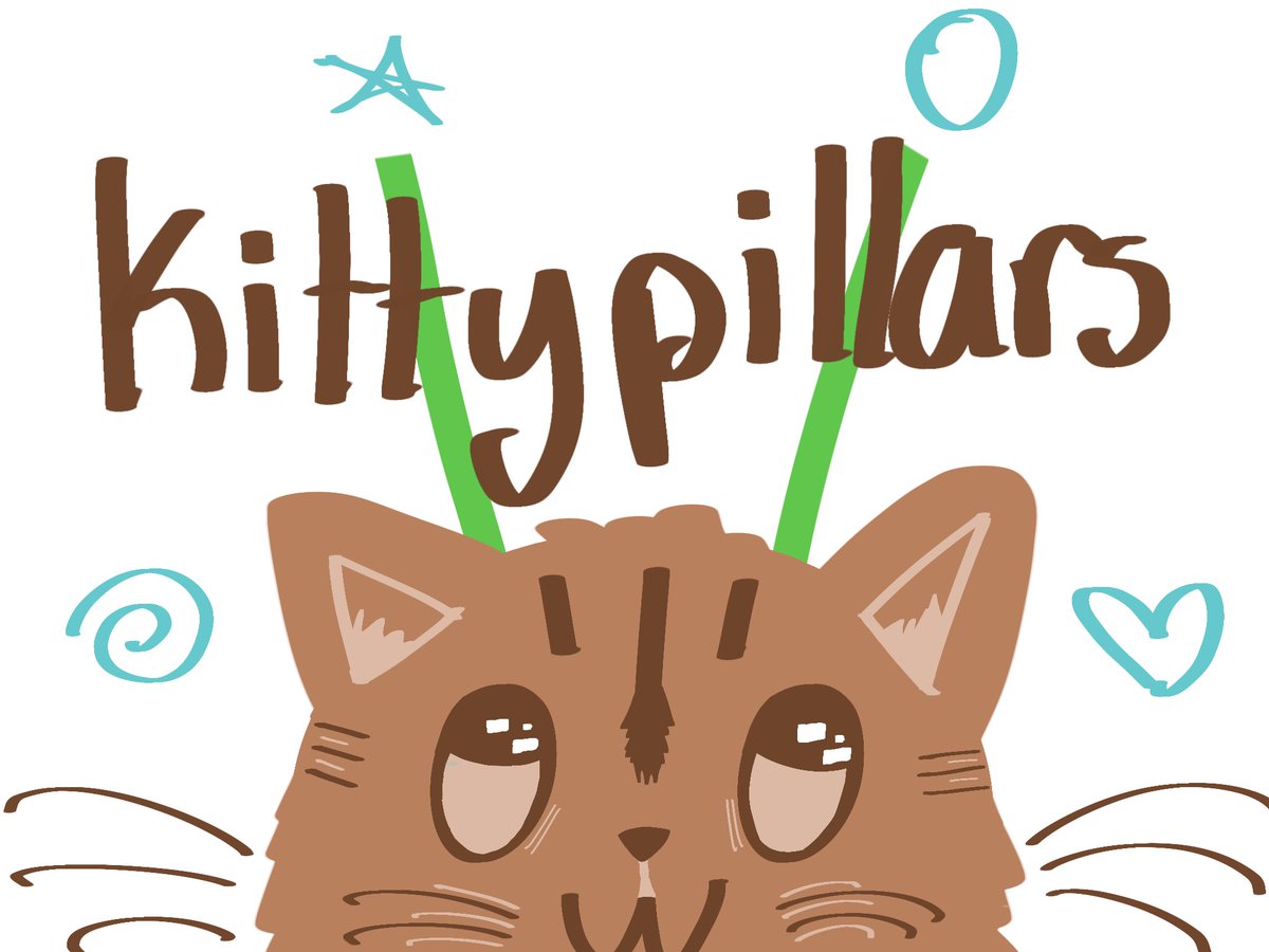 kittypillarstv's tweet photo. 🧃🐛   hi, i’m kittypillars   !   ↴
https://t.co/kH9abNethR    🐈📌 https://t.co/U1MNRb8OpW